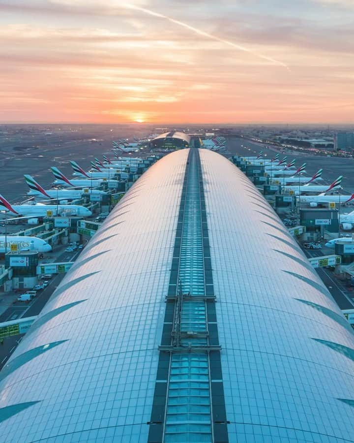 エミレーツ航空のインスタグラム