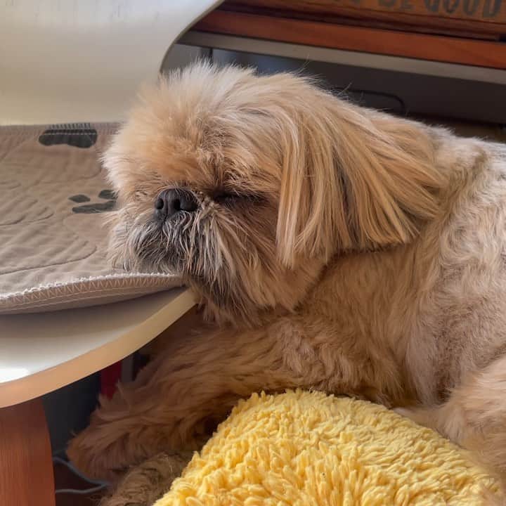 のインスタグラム：「#fridaymomentofzen」