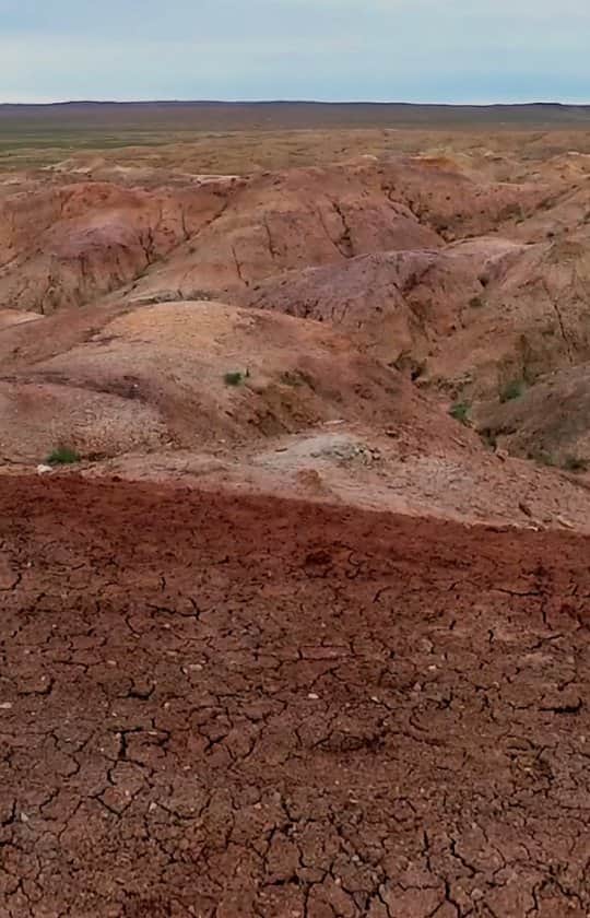 デビッド・ポーコックのインスタグラム：「We've got so many tools at our fingertips to solve the problems facing us - from regenerative agriculture's capacity to reverse desertification to agroforestry and more. It's time to implement them. Thanks to companies like @acciona and @patagonia and groups like @savoryinstitute for building a better future for all.」