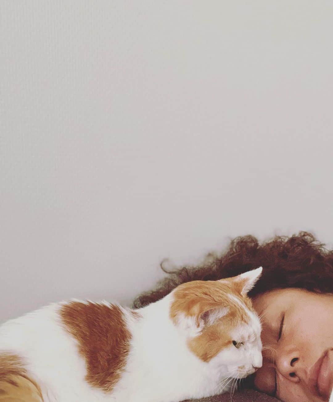 のインスタグラム：「今朝、イオちゃんが私のおでこにピトっとくっついてきたときの写真。  思えば、まだイオががりがりのヨロヨロだったころも、私が頚椎ヘルニアの痛みで寝込んでいるとき、同じようにいたわってくれたっけ。  優しいおかあさんみたいなんだ、イオちゃんは。  #猫沢イオ　#イオの扁平上皮ガン日記」