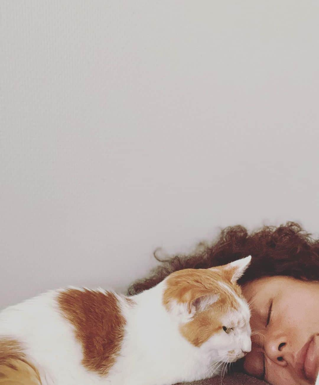 猫沢エミさんのインスタグラム写真 - (猫沢エミInstagram)「今朝、イオちゃんが私のおでこにピトっとくっついてきたときの写真。  思えば、まだイオががりがりのヨロヨロだったころも、私が頚椎ヘルニアの痛みで寝込んでいるとき、同じようにいたわってくれたっけ。  優しいおかあさんみたいなんだ、イオちゃんは。  #猫沢イオ　#イオの扁平上皮ガン日記」2月27日 0時23分 - necozawaemi