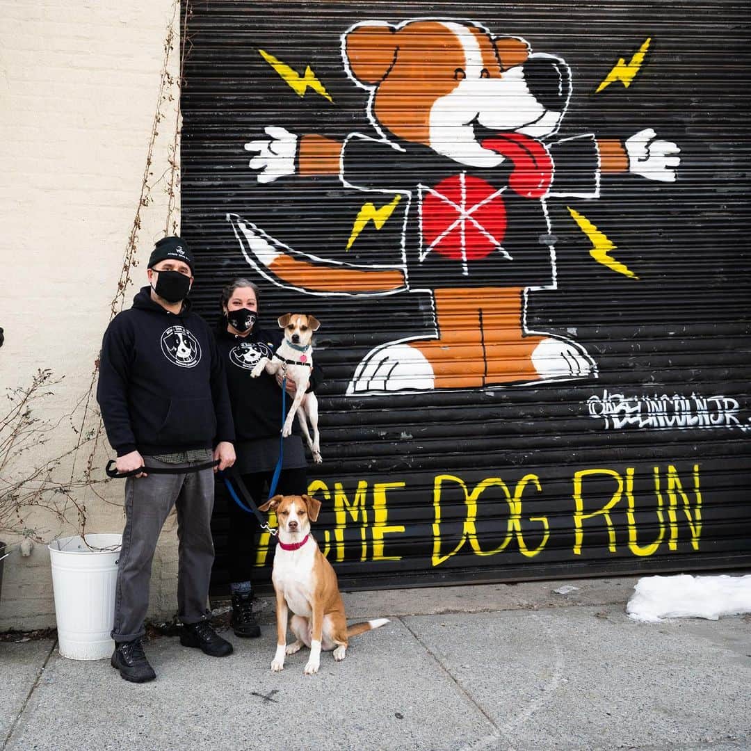 The Dogistさんのインスタグラム写真 - (The DogistInstagram)「Dogs of the Acme Dog Run, Gowanus, BK, NY @acmedogrun • ”I’ve worked in dog daycares for 12 years now, and we opened Acme last year. We had to close for a while because of COVID, but once everyone got over the novelty of having their dog at home with them all day, they started coming back. The dream for Acme was for it to be a social thing – we have a jukebox and a coffee bar – but then the most anti-social thing happened. The plan was to host events and be a place for people to come and hang out and chat, and hopefully we can do that again when it’s safe to have more people in here. We now host the @heartsandbonesrescue foster transports, and it’s the best thing ever. The van pulls up, and 40 dogs from Texas get out and get to go home with their foster parents. It’s really heartwarming to watch dogs come out of their shell and learn how to be a dog.” #AllInNYC #NYCStrong」2月27日 0時52分 - thedogist
