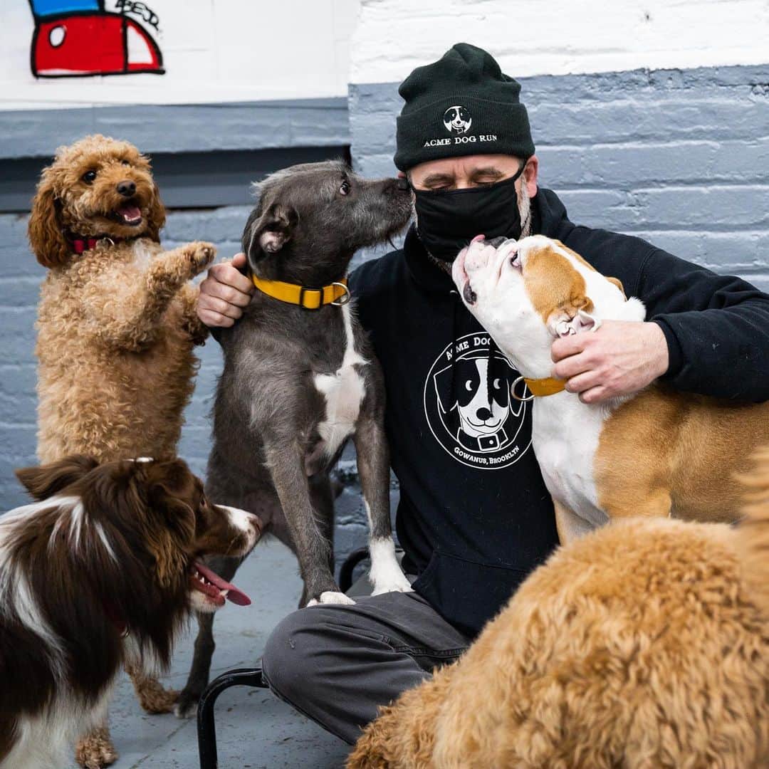 The Dogistさんのインスタグラム写真 - (The DogistInstagram)「Dogs of the Acme Dog Run, Gowanus, BK, NY @acmedogrun • ”I’ve worked in dog daycares for 12 years now, and we opened Acme last year. We had to close for a while because of COVID, but once everyone got over the novelty of having their dog at home with them all day, they started coming back. The dream for Acme was for it to be a social thing – we have a jukebox and a coffee bar – but then the most anti-social thing happened. The plan was to host events and be a place for people to come and hang out and chat, and hopefully we can do that again when it’s safe to have more people in here. We now host the @heartsandbonesrescue foster transports, and it’s the best thing ever. The van pulls up, and 40 dogs from Texas get out and get to go home with their foster parents. It’s really heartwarming to watch dogs come out of their shell and learn how to be a dog.” #AllInNYC #NYCStrong」2月27日 0時52分 - thedogist