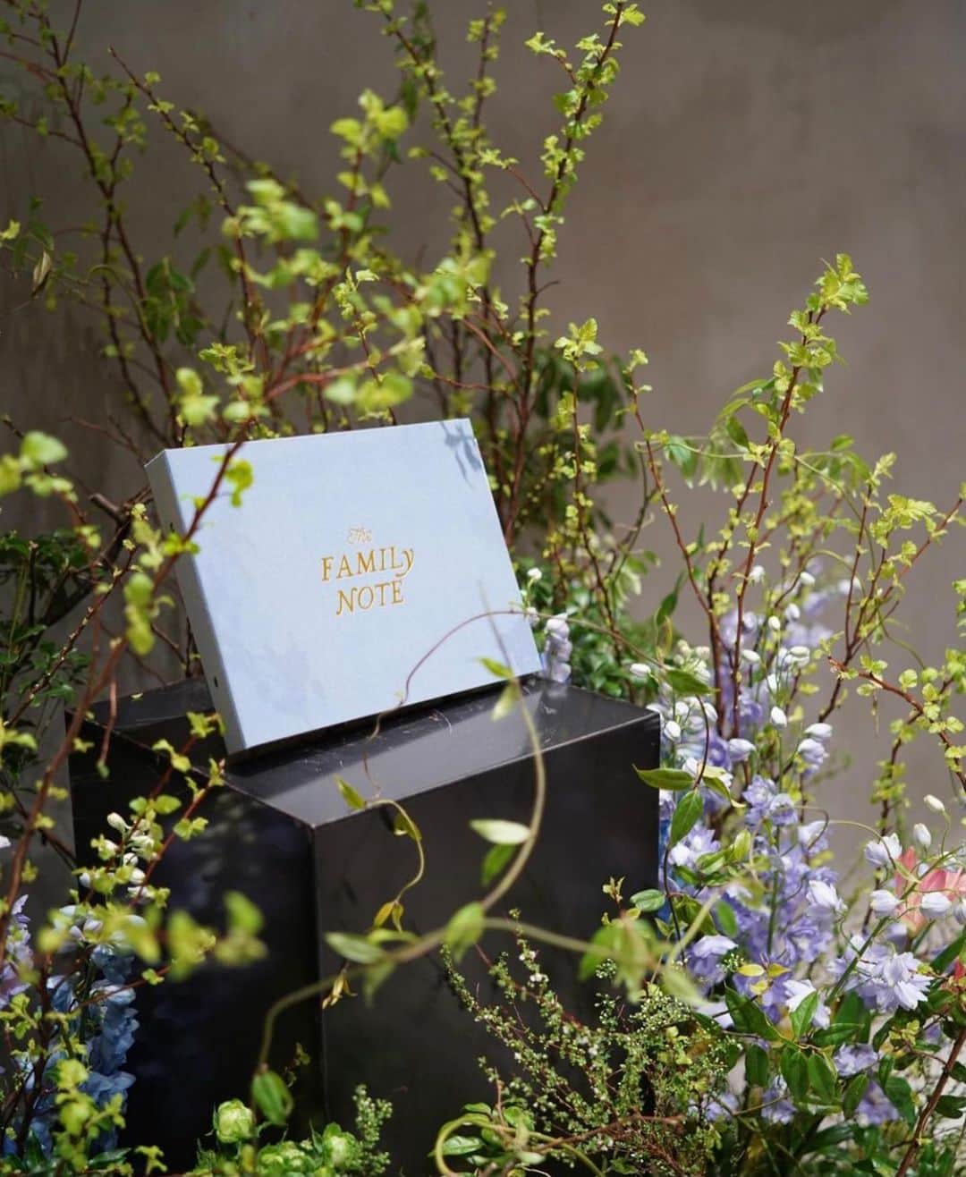 村上萌のインスタグラム：「FAMILY NOTE EXHIBITION「家族の道を、つむぐ展」に、たくさんご来場いただきありがとうございました。﻿ @thefamilynote で、家族のことを提案するのに、情報でまとめるのには限界があって、それぞれの幼少期から今まで、そしてこれからに問いかけるようなものにしたくて、このようなご時世ではありますが、﻿リアルイベントを開催しました。﻿ ﻿ たった1日の展示で、しかも平日開催とハードルの高いイベントではありましたが、朝から晩まで多くの方にご来場いただき、﻿ 「遡る」→「向き合う」→「歩む」と、﻿ 用意させていただいた展示巡路をゆっくりと辿ってご覧いただき、そしてそこで感じたことをシェアしていただき本当に嬉しかったな。﻿ ﻿ 来てくださった方も、遠方から応援してくださった方も、本当にありがとうございました。﻿  @iwai_crazy を貸してくださった @crazy_wedding の皆さんともチームになれて嬉しかった。﻿ ﻿ いよいよ来週からクラウドファンディングスタート！(審査が順調に通れば🥺)﻿ ﻿ ここからが本番。引き続きよろしくお願いします💪🏻﻿ ﻿  #うれしい選択」