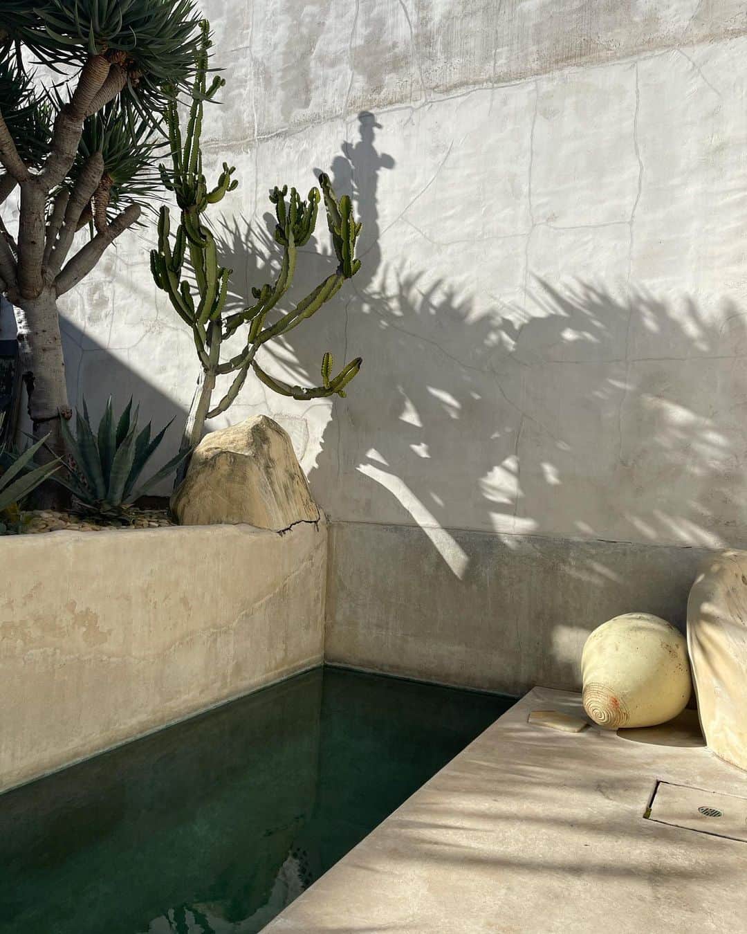 BCBGマックスアズリアのインスタグラム：「Morocco or Venice, California? A behind-the-scenes look at our latest photoshoot at the Dixon House. We’re obsessed.」