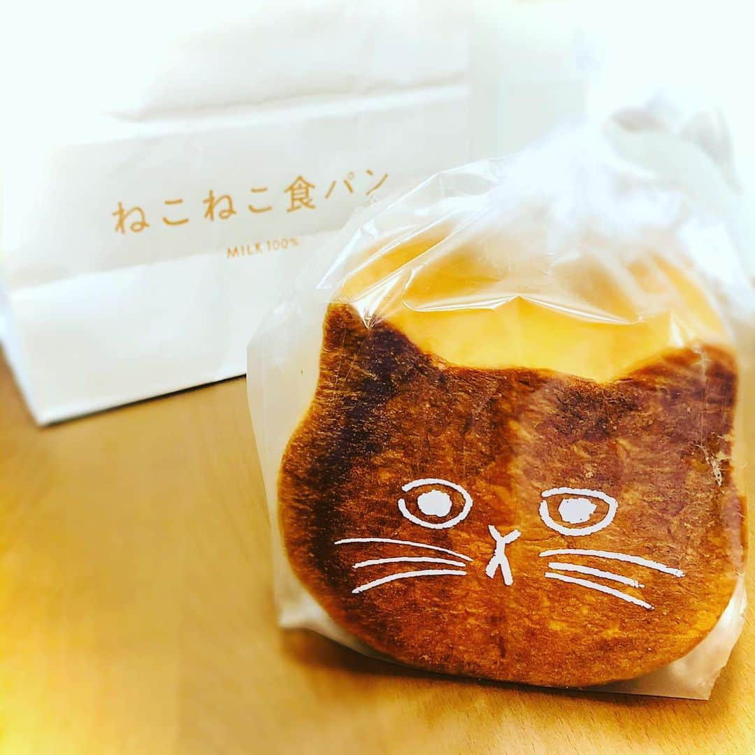 リンさんのインスタグラム写真 - (リンInstagram)「#ねこねこ食パン #かわいい #おいしい  #ずっしり #ぎゅっと #詰まってる #感じ  すみれちゃんに教えてもらったやつたぶんこれだよね？」2月27日 11時33分 - lynn.06.01