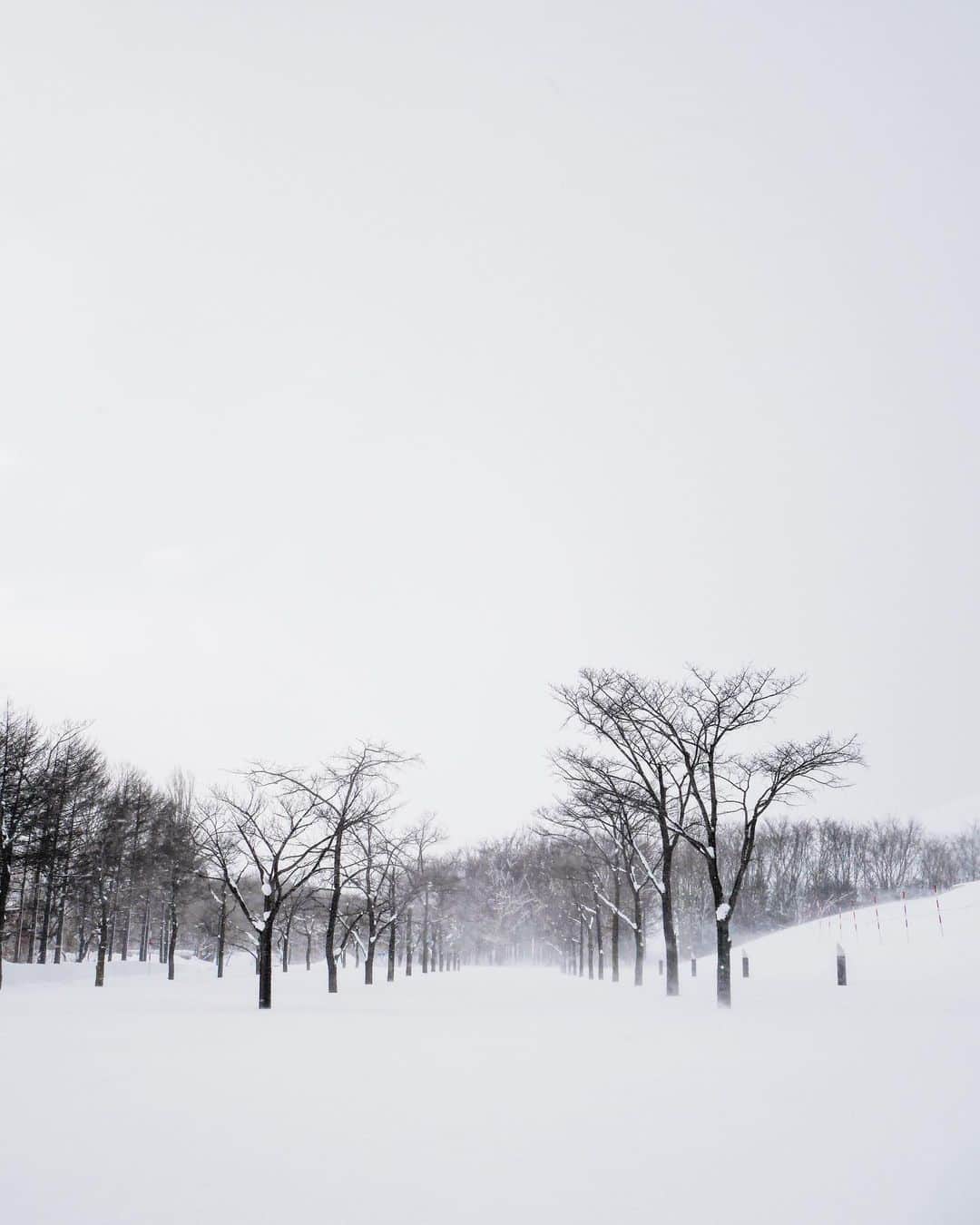 櫻井千尋のインスタグラム：「✮  目が開けれないくらいの吹雪の中 薄目でみたこの景色に惹かれてパシャり  #Sapporo #Hokkaido #japan」