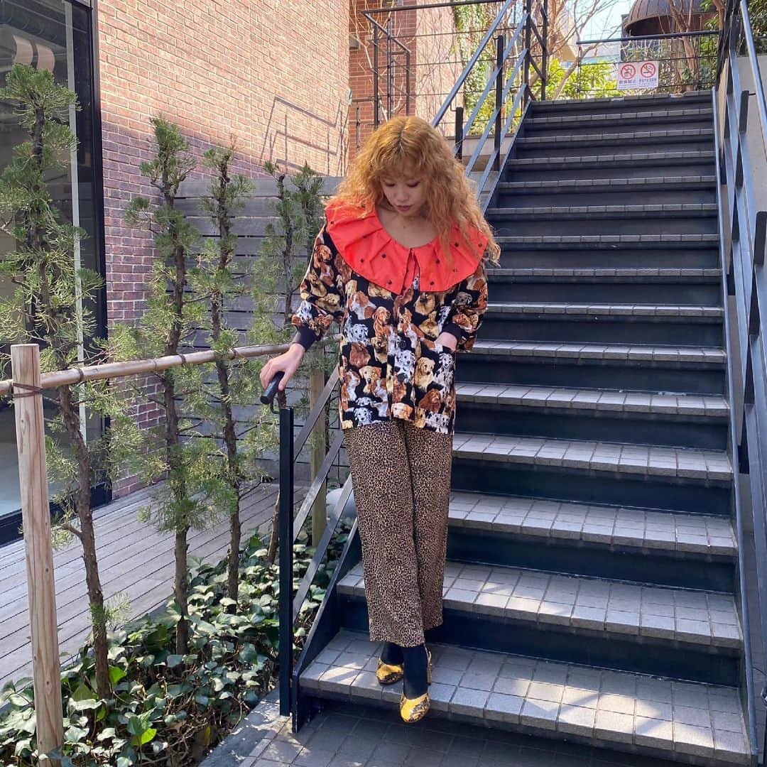 PUNK CAKEのインスタグラム：「•dog cotton cardigan【SOLD】 •orange  big collar blouse【SOLD】 •leopard easy pants  #punkcake  #vintage #vintageclothing  #80sfashion  #古着 #古着コーデ  #古着女子 #レディース古着　 #原宿 #harajuku  #harajukufashion  #原宿古着屋 #東京古着屋  #古着屋巡り #古着通販」