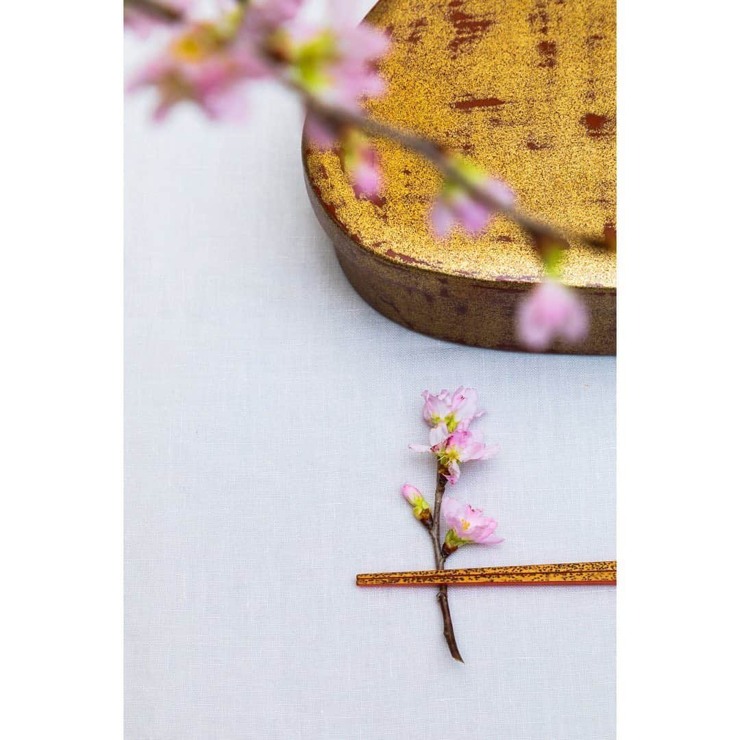 journaleatripのインスタグラム：「spring lunch box in the house  桜の花の塩漬けで炊く桜ご飯を 桜の葉で包む。 桜茶で甘味を頂く。 目でて、香って、食して、飲んで こんなに春を桜を愉しむ 国民もなかなかいないなぁ  "新しい花見の形" お家の中で花見弁当 というテーマで作らせていただきました。 なのでお弁当箱の中で 中身が寄る心配もないので余白を持たせてる盛り付けで。 お弁当箱は"春は貝"ということで祖母の貝形のお弁当箱。  写真　加藤新作さん 婦人画報4月号」