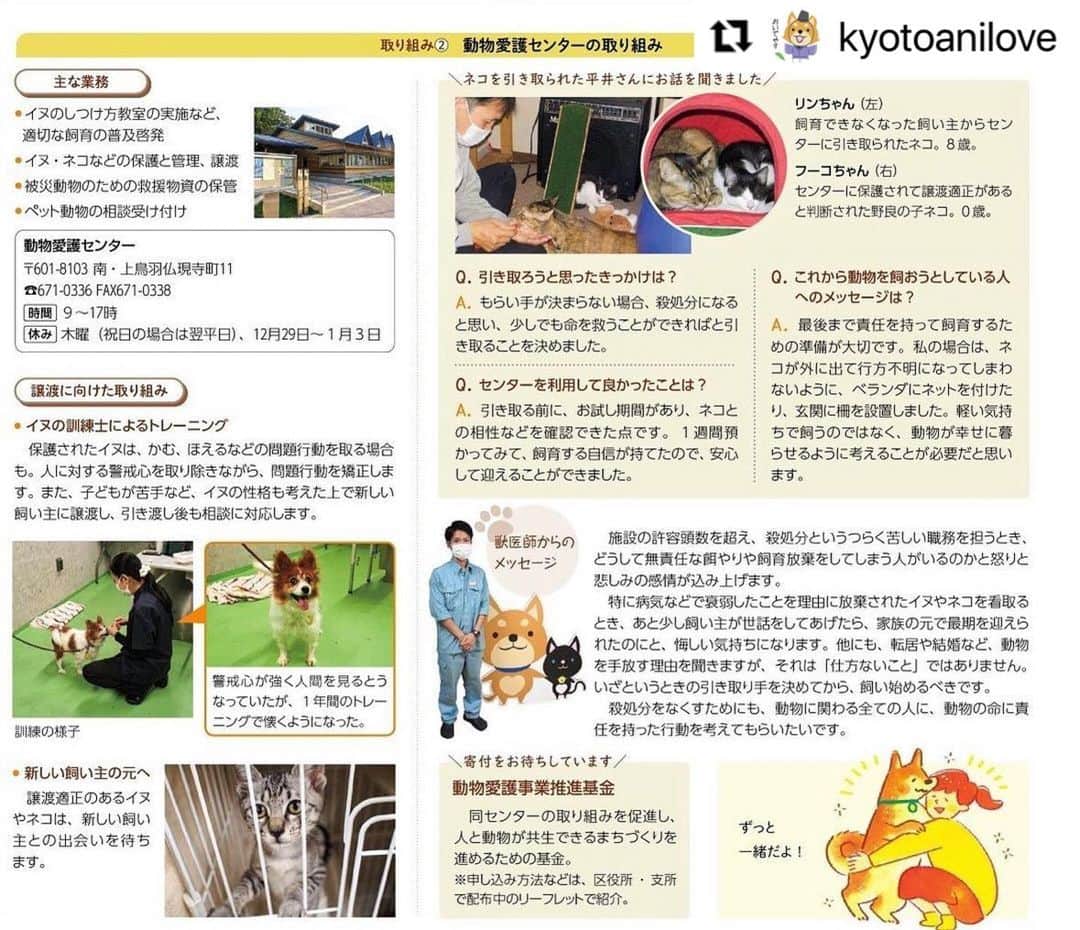 杉本彩のインスタグラム：「* * 京都動物愛護センターをrepost！  　　　↓↓↓  #Repost @kyotoanilove with @make_repost ・・・ ☆市民しんぶんに特集されました☆  発行されてから少し経過しておりますが、２ヶ月前の市民しんぶんにてセンター事業の特集を組んでいただきました！ (WEB閲覧可！)  まちねこ活動支援事業・保護犬猫の譲渡事業などについて、コンパクトに記事にしていただきました❗️  また、センター獣医師の想いも掲載されております。普段なかなか取り上げられることがないので、非常にありがたいです。  「京都市民しんぶん令和2年12月1日号」でWEB検索のうえ、是非ご覧ください❗️  #市民しんぶん #愛護センターの業務 #愛護センター職員 #保健所の業務  #京都 #京都府 #京都市 #南区 #京都市南区 #kyoto #kyotocity #京都動物愛護センター ⠀ #猫がいる生活 #犬がいる生活 #保護犬 #shelterdog #子猫 #猫 #保護猫 #cat #kitty #sheltercat⠀ #杉本彩 #ayasugimoto」