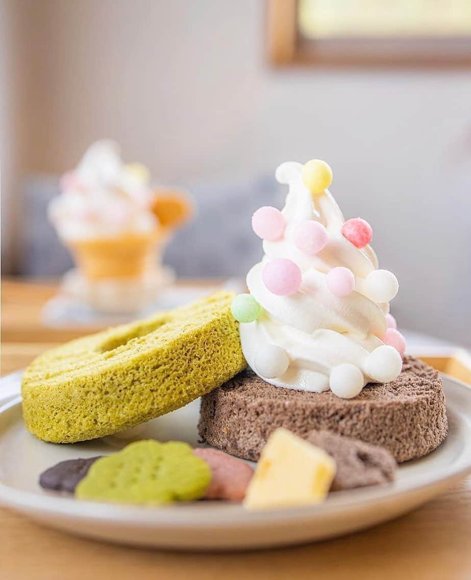 Beaustagrammerのインスタグラム：「［#cafemiru_和歌山］﻿ ——————————————————————﻿ 川のほとりにある小さな喫茶店🎈「ヤドリギ」﻿ ﻿ ふわふわのシフォンケーキは、テイクアウトも可能とのこと☺️❣️川のほとりでリラックスしたひとときを過ごすことができます🧸🌟﻿ ﻿ ☑シフォンケーキ🌈﻿ ※販売状況は事前にお店へご確認ください。﻿ ﻿ 📍ヤドリギ﻿ ⚪︎住所 / 和歌山県海草郡紀美野町下佐々999-9﻿ ⚪︎営業時間 /【月・火・金〜日】10:00〜17:00﻿ ※現在は営業時間が異なる場合がございますので、事前にご確認ください。﻿ ⚪︎定休日 / 水・木﻿ ⚪︎駐車場あり﻿ ﻿ 【#cafemiru_Wakayama】﻿ 📍Yadorigi﻿ ◎Open Hours / 【MON&TUE&FRI-SUN】10:00〜17:00﻿ ﻿ ☕️ @yadorigi9999﻿ 📷 @d.yukawa﻿ ———————————————————﻿ Cafemiruでは「#インスタ探検隊」or「#cafemiru」をタグ付けしているカフェ写真から、運営スタッフが厳選してご紹介しています👀🔍」