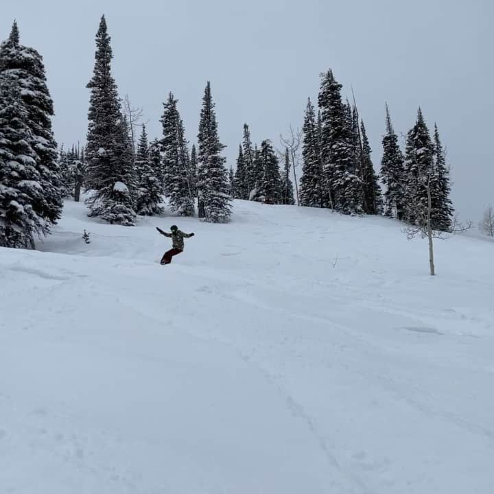 ブリアナ・コープのインスタグラム：「What a week!!! 🌧❄️☃️Second time to the snow and first time getting powder conditions ❄️😍I’ve never experienced a snow storm, such a treat😍  so much fun!!!! thank you @powdermountain  last two clips are my best😉😂😂 #mybodyhurts😂  #swiperight #snowboarding video credit: @emilybcoultas @csatterfield89」