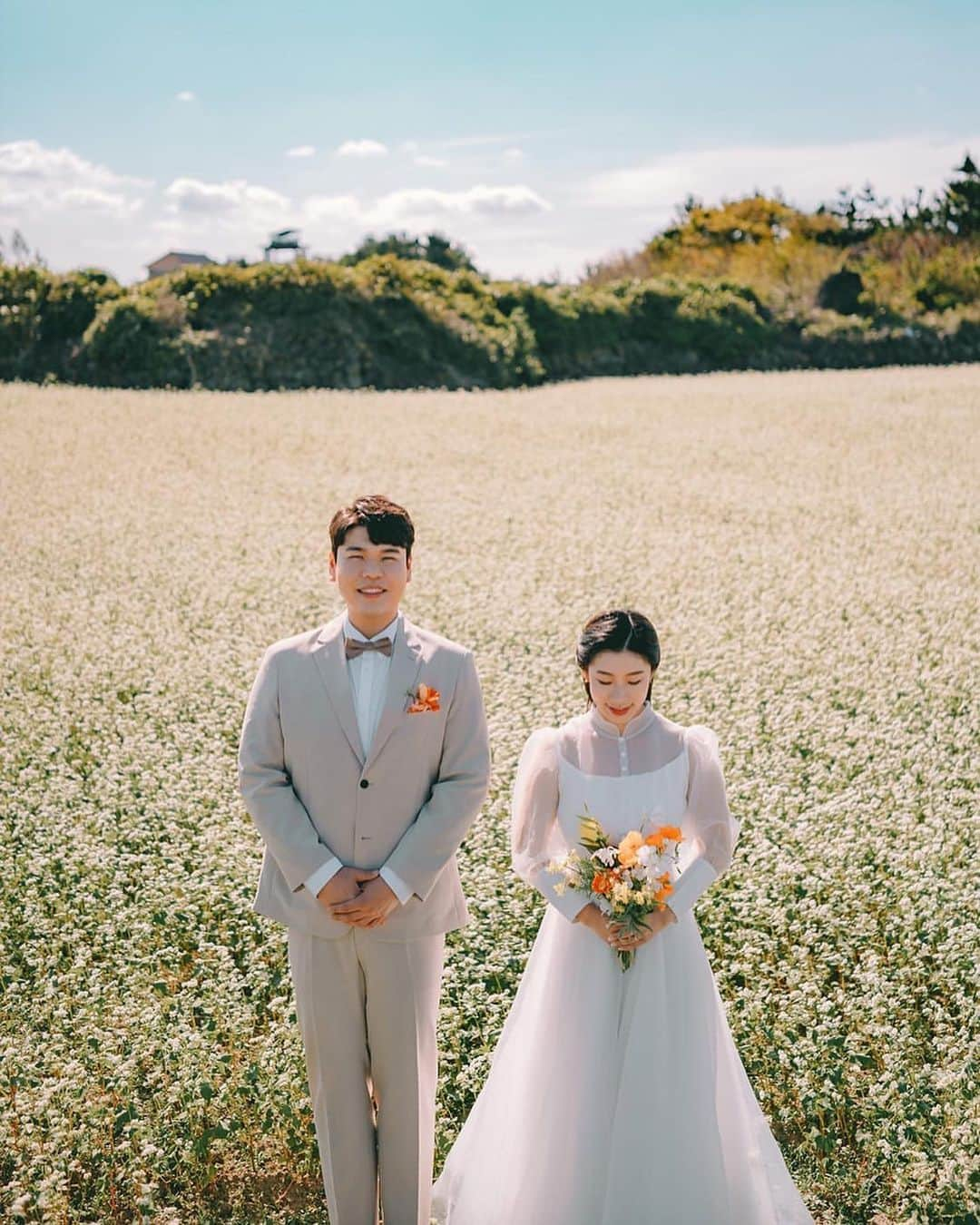 プレ花嫁の結婚式準備サイト marry【マリー】さんのインスタグラム写真 - (プレ花嫁の結婚式準備サイト marry【マリー】Instagram)「この、白くて愛らしいのは、【蕎麦のお花】のお花畑だそう🤍﻿ ﻿ ﻿ ﻿ ﻿ 済州市でウェディングフォトを撮っている @shutterpresso_jeju さんの撮影写真です🌴﻿ ﻿ ﻿ ﻿ ﻿ *﻿ *﻿ *﻿ *﻿ marryは「世界中の可愛い」を集める﻿ ウェディングサイトです💎﻿ ﻿ サイト内には、﻿ 結婚式のアイデアを紹介する記事が1万以上✨﻿ 毎日朝7時と夜の6時に新着記事をUP✨﻿ @marryxoxo_wd の﻿ プロフィールURLからチェックできます💍﻿ ﻿ 特に人気の記事は﻿ @marryxoxo_id のアカウントでも﻿ 紹介しているので必見🌷﻿ ﻿ ﻿ ﻿ しゃぼん玉バルーンや指輪のレースサブレなどのオリジナル商品は、@marryxoxo_shopのアカウントで紹介しています💕﻿ ◌ ❁˚﻿ #プレ花嫁#卒花#卒花嫁#2021春婚#2021夏婚#2021秋婚#2021冬婚#2022春婚#2022夏婚#2022冬婚#2022秋婚#結婚式#結婚#ウェディング﻿」2月27日 12時12分 - marryxoxo_wd