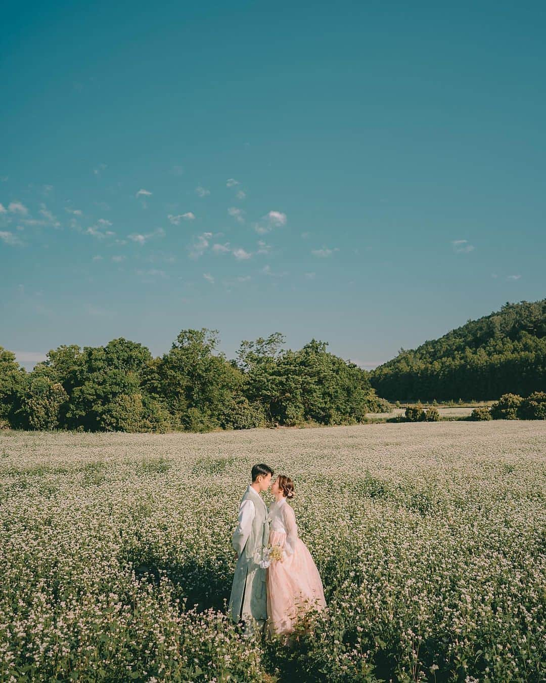 プレ花嫁の結婚式準備サイト marry【マリー】さんのインスタグラム写真 - (プレ花嫁の結婚式準備サイト marry【マリー】Instagram)「この、白くて愛らしいのは、【蕎麦のお花】のお花畑だそう🤍﻿ ﻿ ﻿ ﻿ ﻿ 済州市でウェディングフォトを撮っている @shutterpresso_jeju さんの撮影写真です🌴﻿ ﻿ ﻿ ﻿ ﻿ *﻿ *﻿ *﻿ *﻿ marryは「世界中の可愛い」を集める﻿ ウェディングサイトです💎﻿ ﻿ サイト内には、﻿ 結婚式のアイデアを紹介する記事が1万以上✨﻿ 毎日朝7時と夜の6時に新着記事をUP✨﻿ @marryxoxo_wd の﻿ プロフィールURLからチェックできます💍﻿ ﻿ 特に人気の記事は﻿ @marryxoxo_id のアカウントでも﻿ 紹介しているので必見🌷﻿ ﻿ ﻿ ﻿ しゃぼん玉バルーンや指輪のレースサブレなどのオリジナル商品は、@marryxoxo_shopのアカウントで紹介しています💕﻿ ◌ ❁˚﻿ #プレ花嫁#卒花#卒花嫁#2021春婚#2021夏婚#2021秋婚#2021冬婚#2022春婚#2022夏婚#2022冬婚#2022秋婚#結婚式#結婚#ウェディング﻿」2月27日 12時12分 - marryxoxo_wd