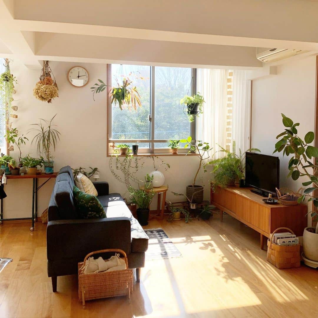 佐藤友子さんのインスタグラム写真 - (佐藤友子Instagram)「昨日は緊張な収録の仕事があったので、それを無事に終えて気が抜けて今朝は10時まで寝てました。。😅  朝ごはん食べて掃除機かけてメイクして今。  花粉つらいけど、少し太陽の光を浴びに散歩してきます🪴  みなさまも良い週末を。」2月27日 12時23分 - tomokosato_hokuohkurashi