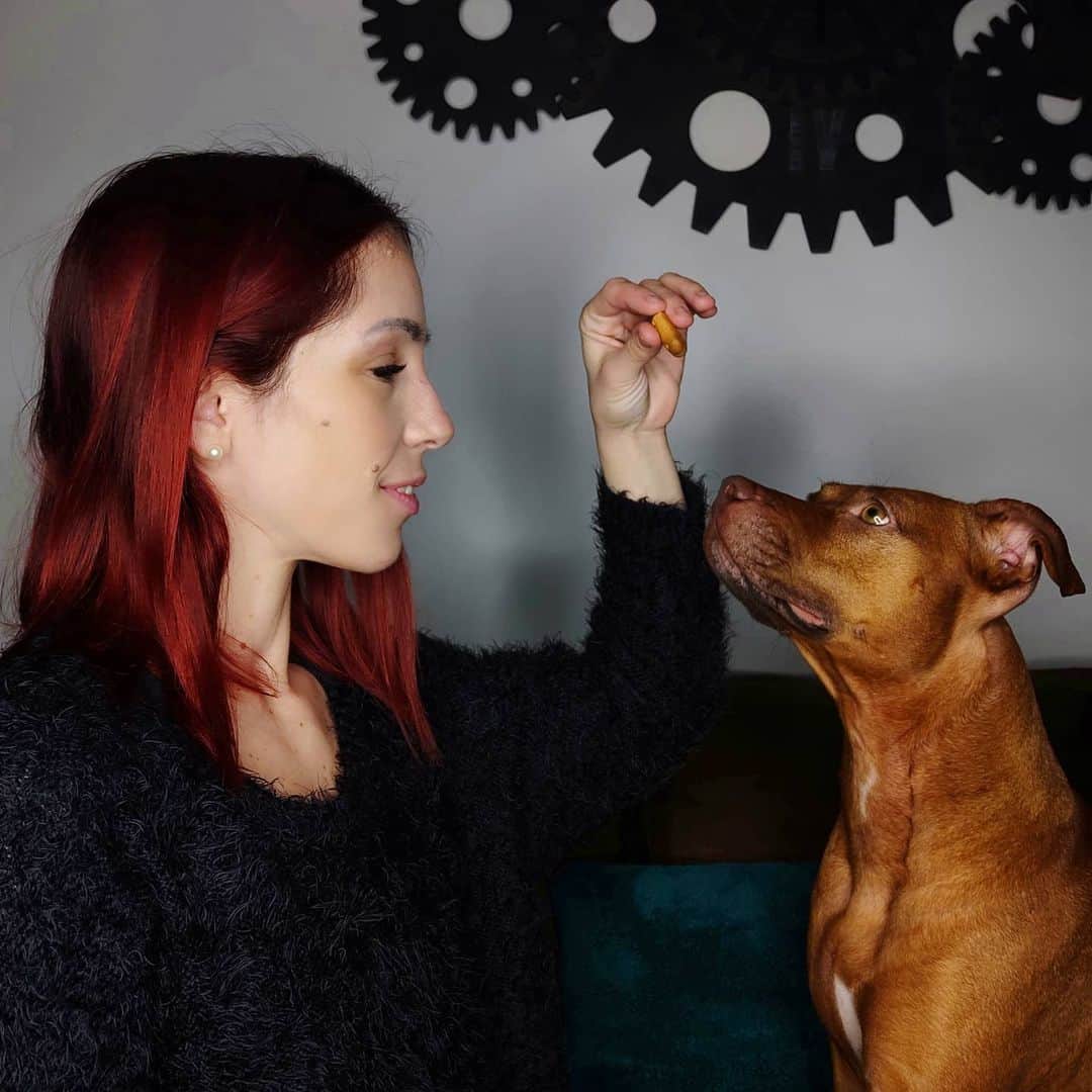 ニコーレ・デラ・モニカのインスタグラム：「Si, ci guarda con questo amore solo se abbiamo del cibo per lei 😅 ma noi l'abbiamo tanto lo stesso 😍💕 #olimpia #olimpiathestaffy #doggy #amstafflove #dogsofinstagram #doglover #dogsmom #olly #amore」