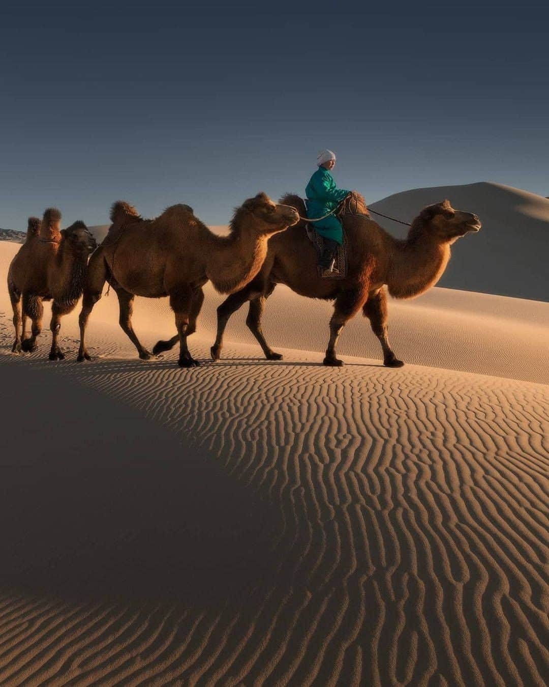 Discover Earthさんのインスタグラム写真 - (Discover EarthInstagram)「Gobi Desert, Mongolia 🇲🇳 is one of the Most Spectacular Deserts In The World. The Gobi Desert is a beast of a desert spread across parts of southern Mongolia and northwestern China. The area is rich in fossils, including dinosaur eggs, and animals like Bactrian camels, Siberian ibex, and Gobi brown bears.  🇲🇳 #discoverMongolia with @danielkordan」2月27日 5時00分 - discoverearth