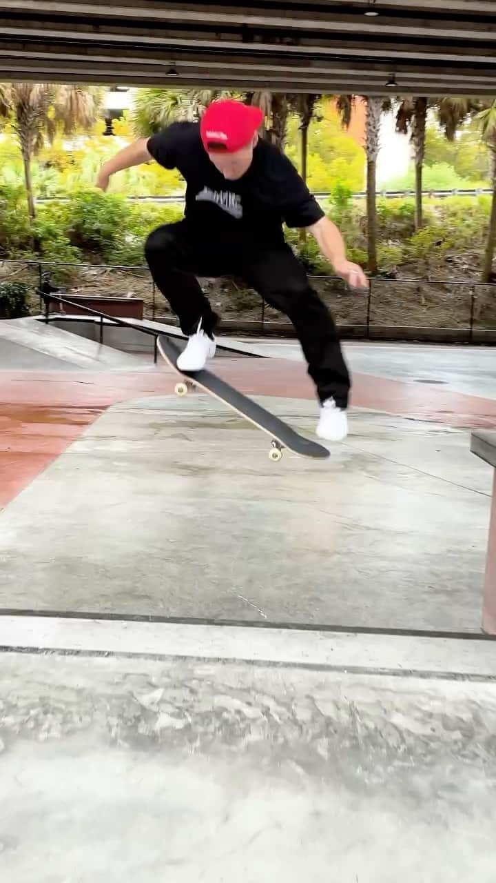 シェーン・オニールのインスタグラム：「Must be the best park in the world  LOT 11 🌴 Filmed by @danabadi」