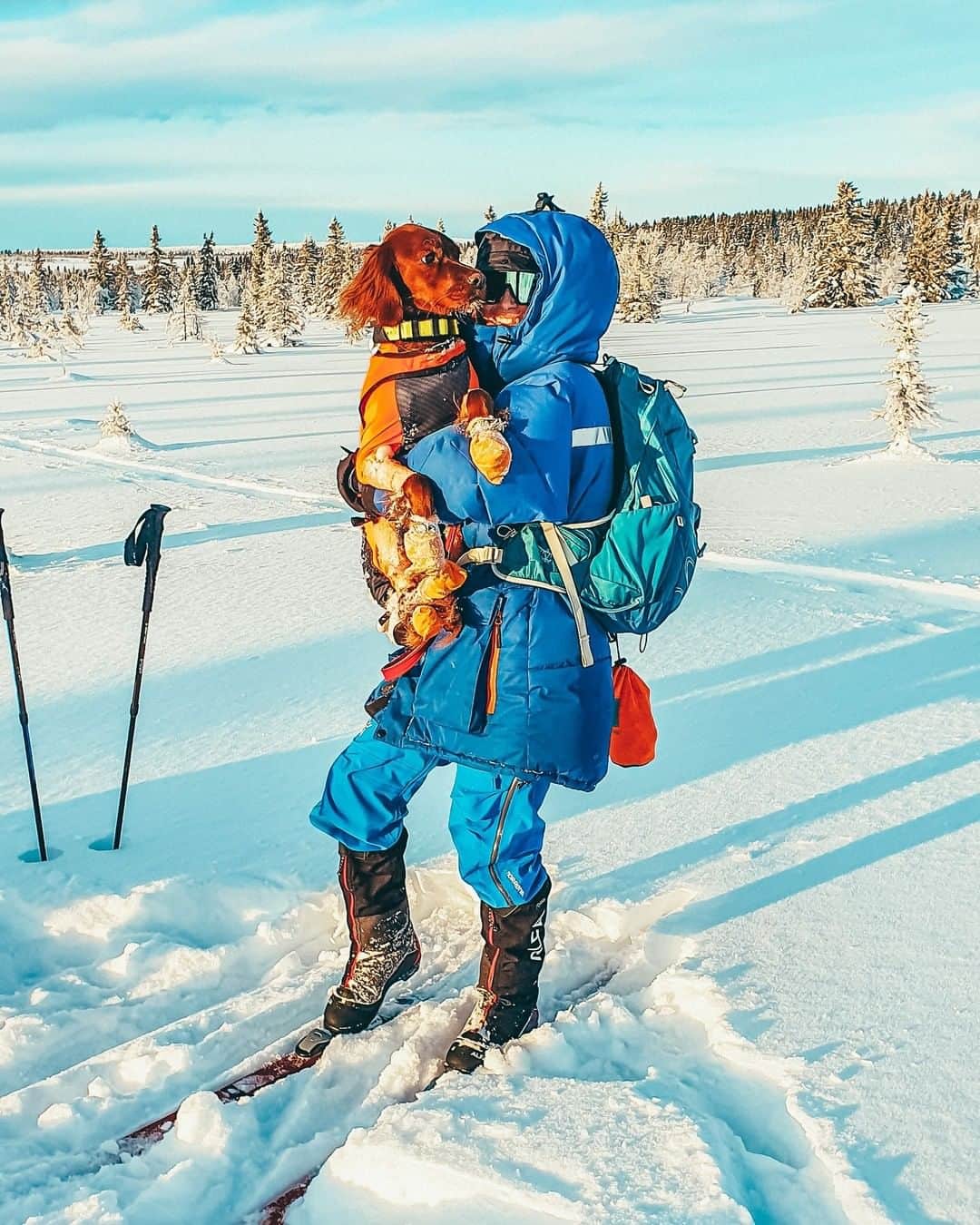 オスプレーのインスタグラム：「"When we fulfil our function, which is to truly love ourselves and share love with others, then true happiness sets in." - Gabrielle Berstein | 📷 by @irsksettere | Featured pack from the Talon/Tempest Series #ospreypacks」
