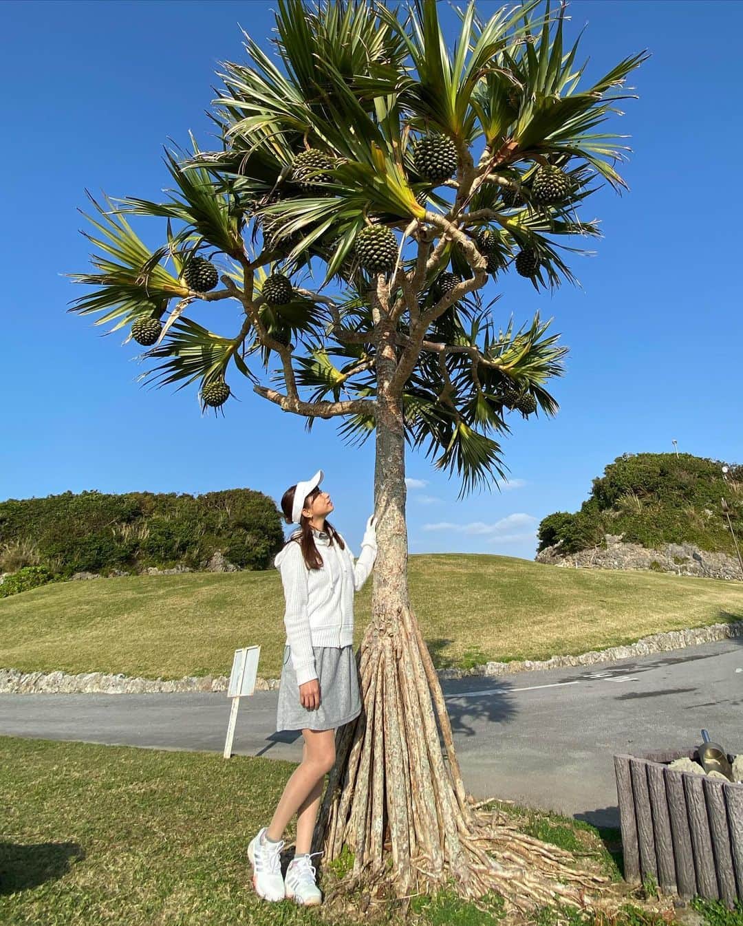RIKAのインスタグラム：「. 南国っぽいゴルフ場🏝 この木可愛いくないですか☺️♡？ . 撮影ポイントがたくさんあって楽しい☺️♪ . . . #ゴルフ#golf#⛳️#ゴルフ女子#ゴルフ好き#ゴルフウエア#ゴルフコーデ#ゴルフスイング#골프 #골프웨어 #골프스윙 #여행 #해외여행 #골프스타그램 #골프중독 #와인 #소주 #좋은시간#沖縄#南国#この木なんの木気になる木」