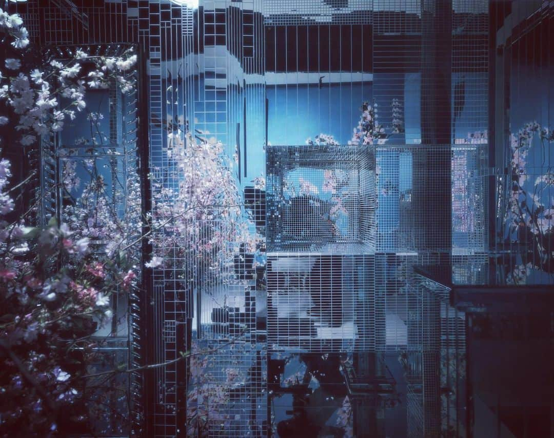 ニック・ナイトさんのインスタグラム写真 - (ニック・ナイトInstagram)「I saw the first blossoms on the trees today and remembered this beautiful set by the late great @michaelhowells100 for @jgalliano ‘s house of @dior . Michael was responsible for nearly all of my sets for the Dior campaigns . I remember he once filled an entire studio with beautiful pale sand and sun bleached driftwood. Sadly in the end shots not even one grain of sand was visible.  The beautiful @angelalindvall was the star for that campaign.  Working in a completely mirrored set is great other than my 10 by  8 camera ( which was huge ) and I had to be retouched out of every shot .」2月27日 8時29分 - nick_knight