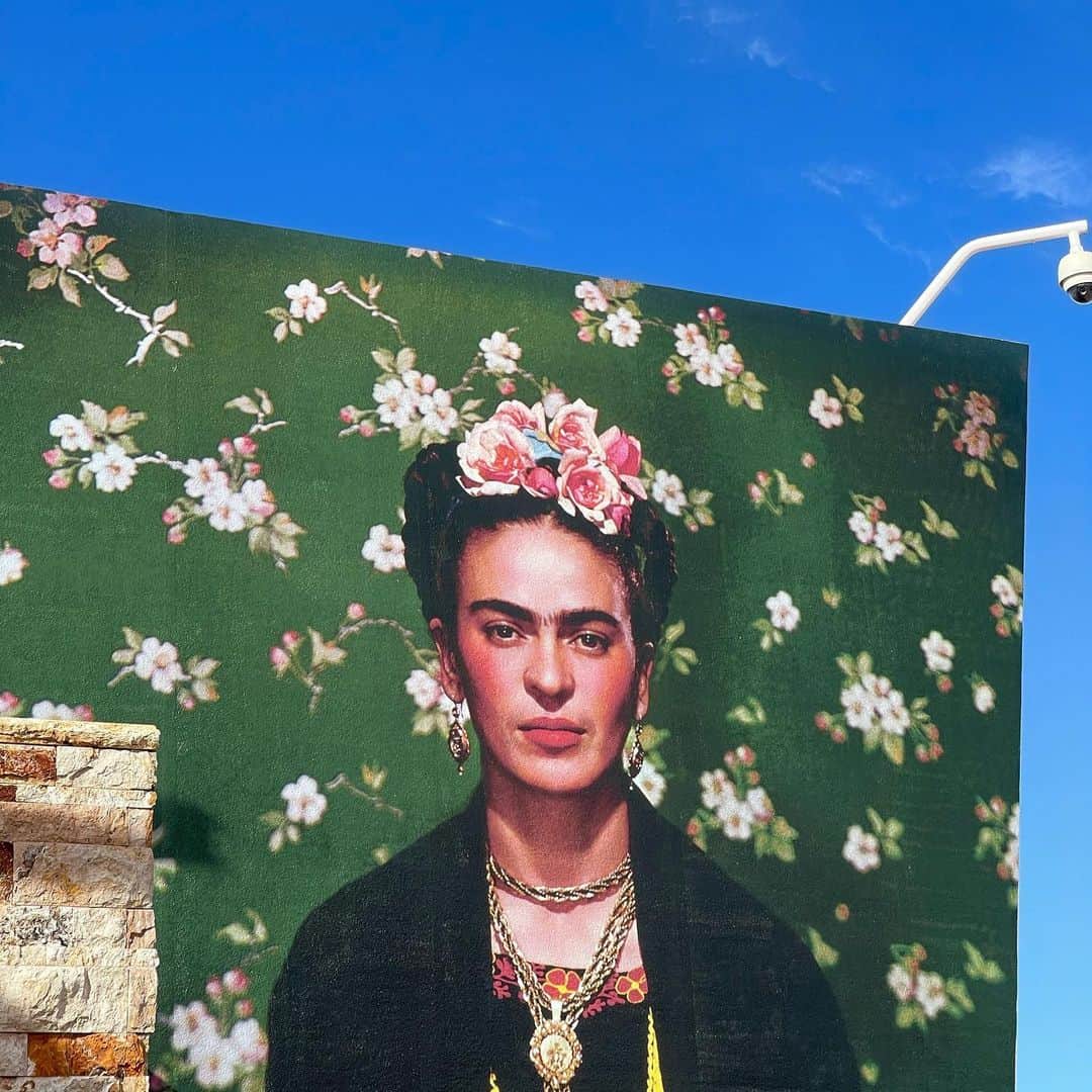 ウィロー・シールズさんのインスタグラム写真 - (ウィロー・シールズInstagram)「Masked up today and went to a museum for the first time in over a year. The exhibition was Frida Kahlo, Diego Rivera & Mexican Modernism.  Frida is one of my favorites artists and to be able to see so many of her pieces up close and personal after a long gallery/museum hiatus fed my soul.」2月27日 8時35分 - willowshields