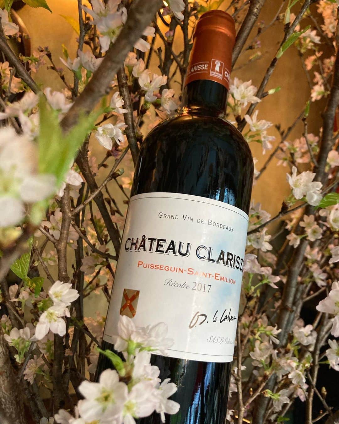 ステラートのインスタグラム：「❥❥ボルドーワインのご紹介❥❥ Château CLARISSE 〈シャトークラリス〉  世界最高峰のホテル、Hotel Le Bristol Parisの社長が醸造する惜しみない愛情を注ぎ込んだワインです🍷❤️  濃いルビー色で、ダークチェリーや砕いたブラックベリーのしっかりとしたアロマ。シンプルで分かりやすく、奥深い香り。 凝縮した果実味と豊かなタンニンを感じるエレガントなワインとなっております！ ハラミ肉のローストやサーロインの炭火焼きとの相性は抜群です🥩  🌸ご来店お待ちしております！🌸 ※stellatoは感染症対策徹底の上通常営業しております。  #chateauclarisse #redwine #wine #french #frenchrestaurant #restaurant #tokyo #白金台  #diner #vacation #dayoff #champagnelover #gourmet #cheers #winelover #dîner  #赤ワイン　#シャトークラリス　#ボルドーワイン　#レストラン　#フレンチレストラン　#乾杯　#休日　#シャンパーニュラバー　#シャンパーニュ好きと繋がりたい　#ワイン好きと繋がりたい　#グローバルダイニング　#globaldining」