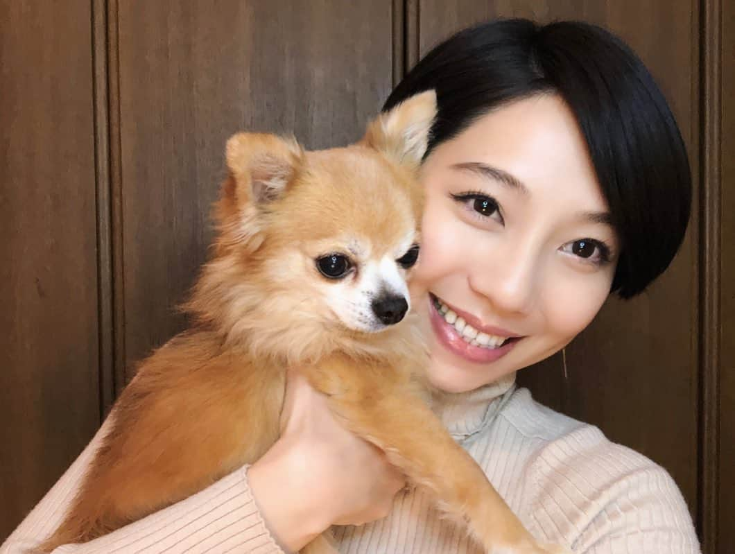 小泉麻耶さんのインスタグラム写真 - (小泉麻耶Instagram)「証明写真🐶📷 いつもそばにいてくれてありがとう💗 #いぬすたぐらむ」2月27日 9時56分 - mayakoizumi