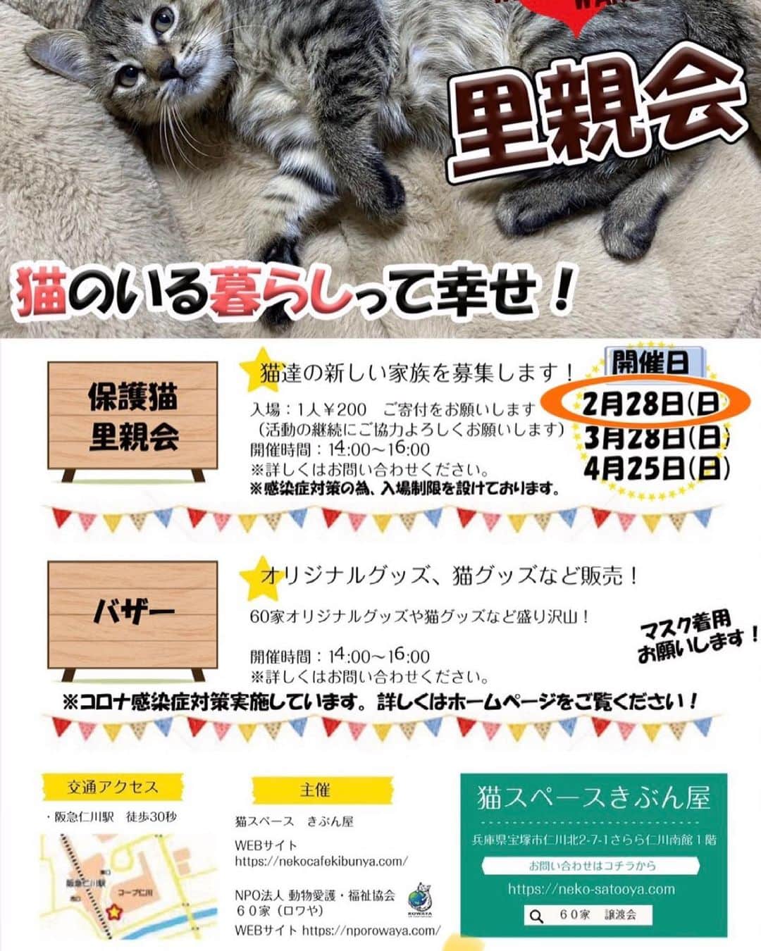 猫カフェきぶん屋さんのインスタグラム写真 - (猫カフェきぶん屋Instagram)「いよいよ明日、2/28(日)14〜16時、きぶん屋で譲渡会します😊 今回は成猫も多いです、ぜひ大人猫という選択も視野に入れてください😸  #猫 #譲渡会 #宝塚市」2月27日 10時27分 - nekocafekibunya