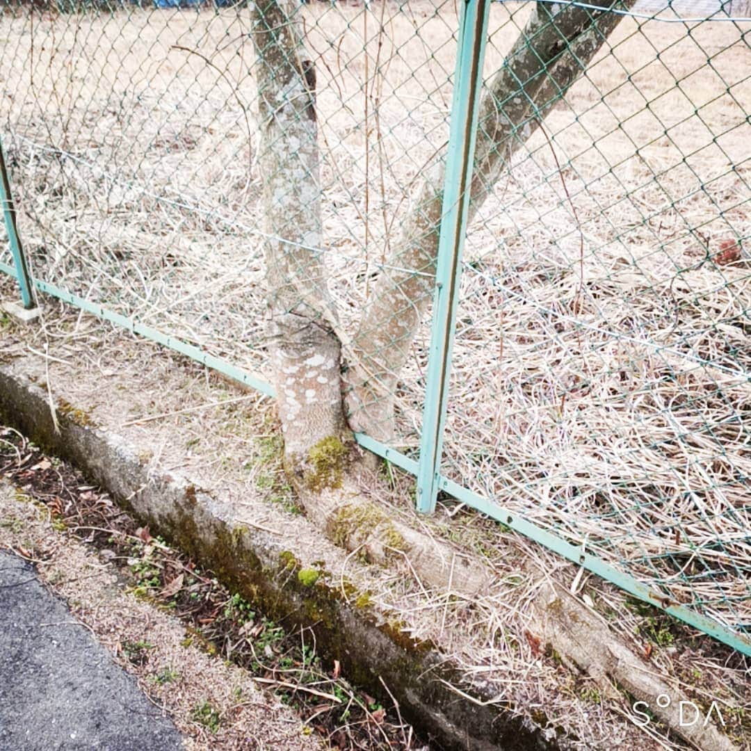 松本隆博のインスタグラム：「。 うぉーーー(ﾟOﾟ)( °◊° ) なんか…痛い。。  ～人生遊歩道～」