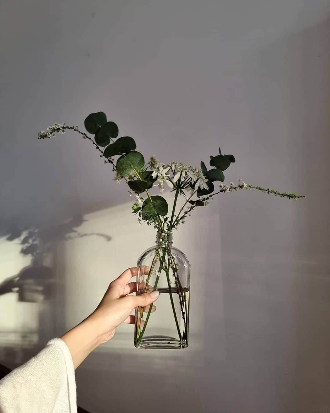 バイトゥーイ・ズワピットのインスタグラム：「ย้ายน้องมาใส่ขวด :)  . #zvpwithplant」