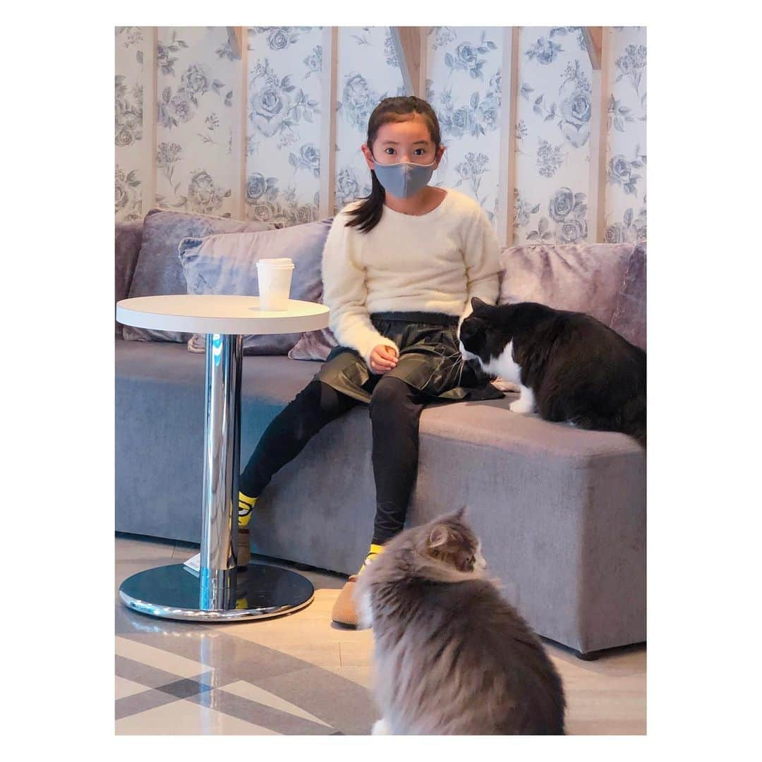 megumi matsuoさんのインスタグラム写真 - (megumi matsuoInstagram)「🅷🅴🅻🅻🅾︎ どちらかというと 犬の方が身近にいるので またしても猫カフェへ  おやつの時だけ人気者w そして ミラの靴下がミニオンな件w  #サラミラ#姉妹#sister#原宿#猫カフェ#猫カフェmocha#猫#cat#竹下通り#ママ#ママライフ#3児ママ#アラフォーママ#娘#娘とデート#久しぶりのお出かけ」2月27日 10時55分 - sara_mira_