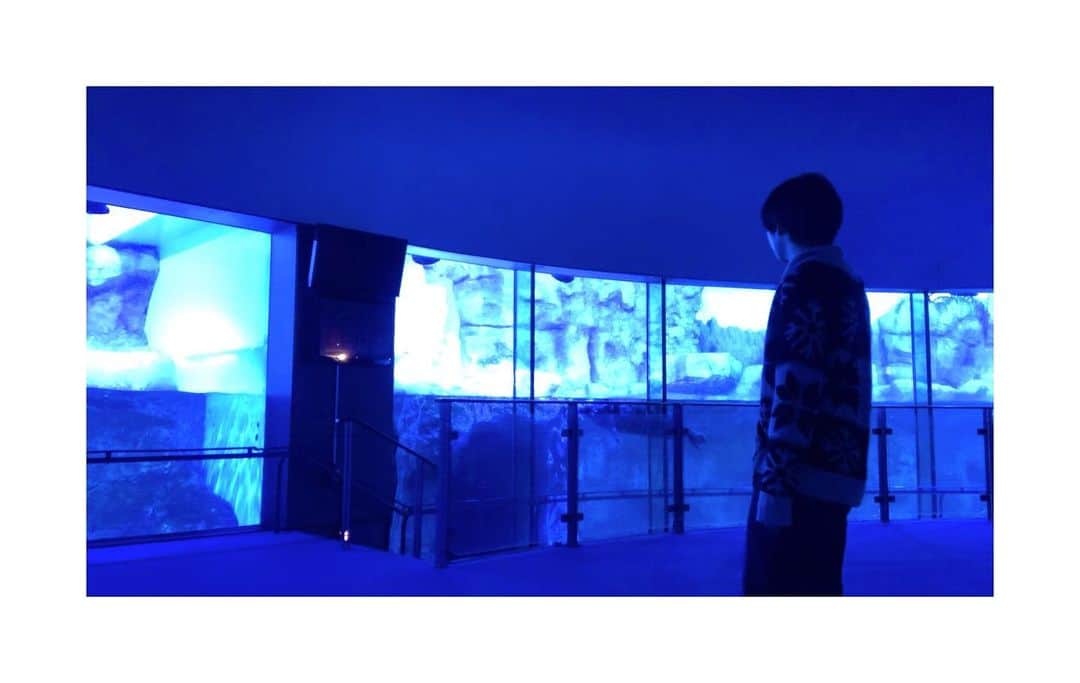 田村心さんのインスタグラム写真 - (田村心Instagram)「_ ﻿ 「ナイルパーチの女子会」第5話﻿ ご視聴ありがとうございました。﻿ ﻿ いかがでしたか？﻿ ﻿ 水族館のシーン﻿ 怖いシーンの撮影でしたが﻿ 水族館は楽しかったです。笑﻿ ﻿ 去年からお仕事で﻿ 水族館行くことたくさんあって﻿ 色んな水族館楽しんでいます🐟🐠🐡」2月27日 22時02分 - shin_tamura_official