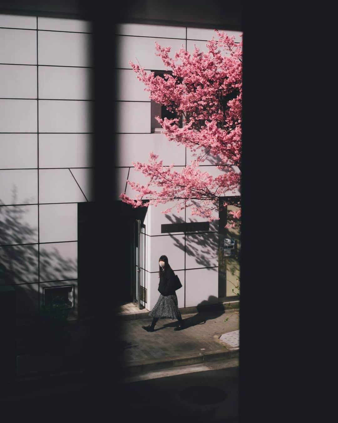 Takashi Yasuiさんのインスタグラム写真 - (Takashi YasuiInstagram)「window series」2月27日 21時59分 - _tuck4