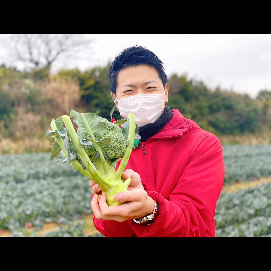 上坂嵩さんのインスタグラム写真 - (上坂嵩Instagram)「愛知県が誇る名産品！ ブロッコリーについて豊橋から生中継でお伝えしました✨ . それにしても、奥深いブロッコリーの世界🥦 . 実は、冬が旬！！今が一番美味しいとのこと😋 そして畑では、葉に覆われて育っているんです。 スーパーなどで一年中見ているので、 旬の時期や収穫前の姿を知りませんでした😅 . またブロッコリーは、 とても繊細で、栽培も収穫も難しい野菜。 . 温度管理が難しく、 暑過ぎても寒すぎてもうまく育たないそう⚠️ さらに収穫のタイミングは、2.3日しかないそうです！ . ブロッコリーを愛情込めて育てている朝倉さんは、 「自然がおいしく育ててくれた野菜を、 　最高の状態で出荷するのが仕事ですから」 と話してくれました☺️ . そんな朝倉さんの農園では、 あえて葉を残した「葉付きブロッコリー」 として出荷しているそう🌱 ブロッコリーを覆うように生えている 枝ようなものが葉だそうです。 . 見かけた際は、確認してみてください！ . さて！そのブロッコリーを 美味しく茹でる際のオススメポイント👍 . 朝倉さんによると、 ①水の状態でブロッコリーをいれ、火をかけます🔥 ②沸騰してから2分で、ブロッコリーを出します ③冷水で締めるのはNG🙅‍♂️ ④あとは熱が逃げるまで、余熱で。 　サラダで食べたい場合は、冷蔵庫に入れてください。 とのこと！ . みなさんもトライしてみてください😊 . . #ブロッコリー #愛知 #豊橋 #メーテレ #アップ #上坂嵩」2月27日 22時00分 - takashi_uesaka_nbn