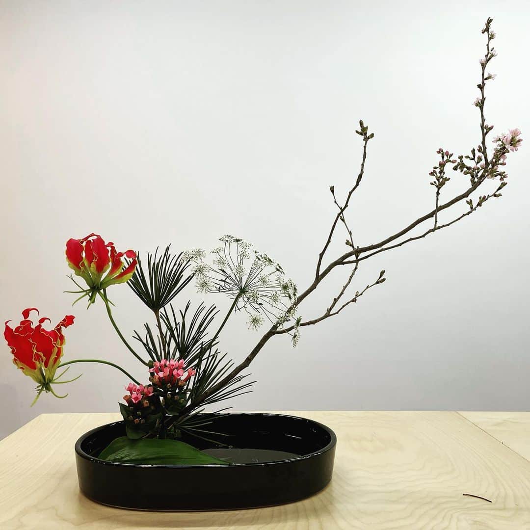 宮田麺児のインスタグラム：「桜があったので 生けてみた。  #生花 #生け花  #花いけ #華道 #花のある暮らし」