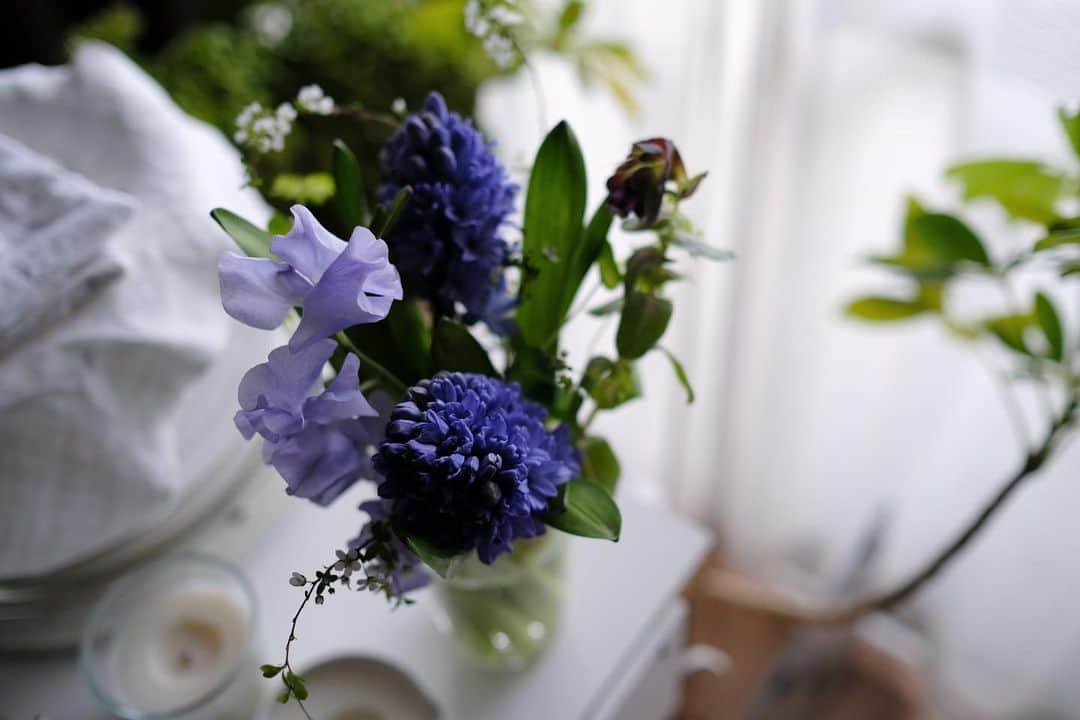 maggydaisyのインスタグラム：「_  部屋がふんわりいい香り  本日もたくさんの方にonline shop をご覧いただきありがとうございました✽  #hyacinth #ヒヤシンス #花のある暮らし」