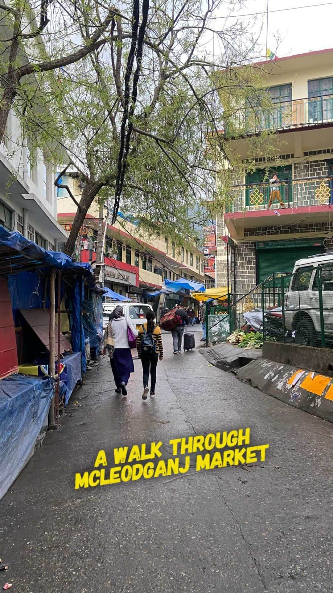 Abhinav Chandelのインスタグラム：「Walking through the main market of Mcleodganj, always crowded and always colourful.  But as a local, I only go there to buy my groceries 😛 . . . #mcleodganj #dharamshala #reels #reelsindia #reelsinstagram」