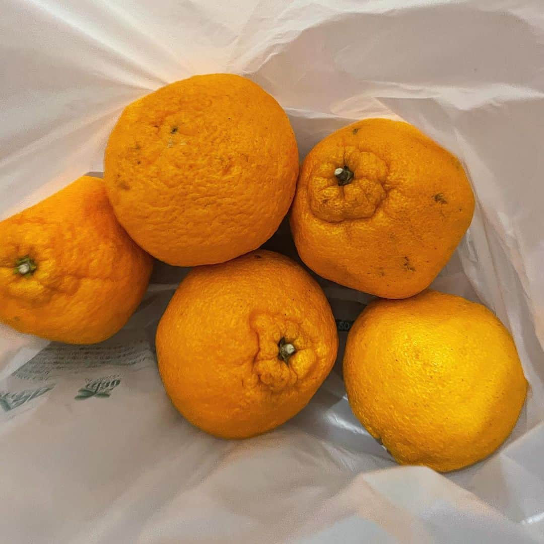 長瀬礼華さんのインスタグラム写真 - (長瀬礼華Instagram)「. ハマってるポンカン🍊 無農薬で作られてて甘いの 甘いもの食べたくなったら無心でポンカンむしってる🤭💭」2月27日 21時54分 - mskokudai20_5