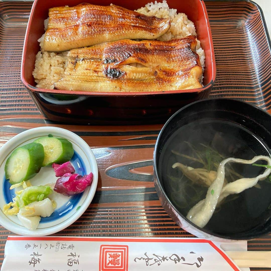 桂春雨さんのインスタグラム写真 - (桂春雨Instagram)「昼ごはん。平野町の福梅で『うな重』。久しぶりに鰻を食べました。福梅さんへは初めて来ましたが、江戸前の鰻でふっくら柔らかくて美味しかったです。  #昼ごはん #ランチ #鰻 #うなぎ #鰻重 #肝吸い #漬物 #平野町 #福梅 #船場 #lunch #unagi #instafood」2月27日 13時18分 - harusamek