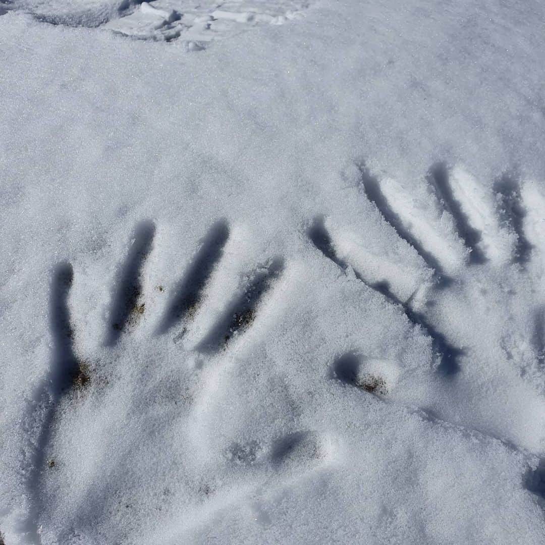 イ・ジュヨンさんのインスタグラム写真 - (イ・ジュヨンInstagram)「2월의 산⛰ #인왕산 과 한라산 3개월만의 등산 전날 눈이 와서 걱정했는데 등산스틱이 민망할 정도로 아담했던 도심속의 산 겨울산 매력있다!」2月27日 13時19分 - izoo_young