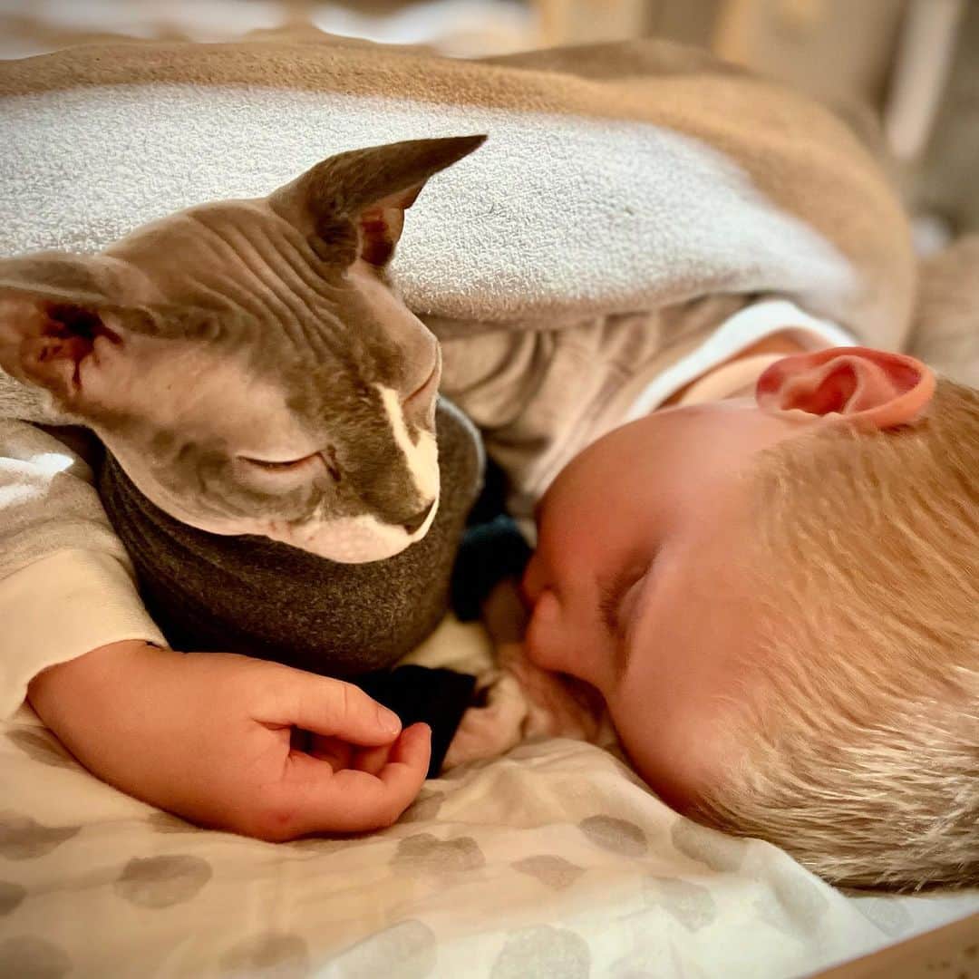 ニック・カーターさんのインスタグラム写真 - (ニック・カーターInstagram)「Good night kitty tight. #fatherhood」2月27日 13時35分 - nickcarter