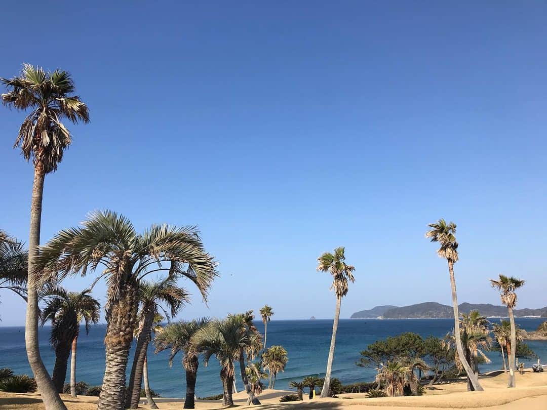 川原由維のグルメインスタ