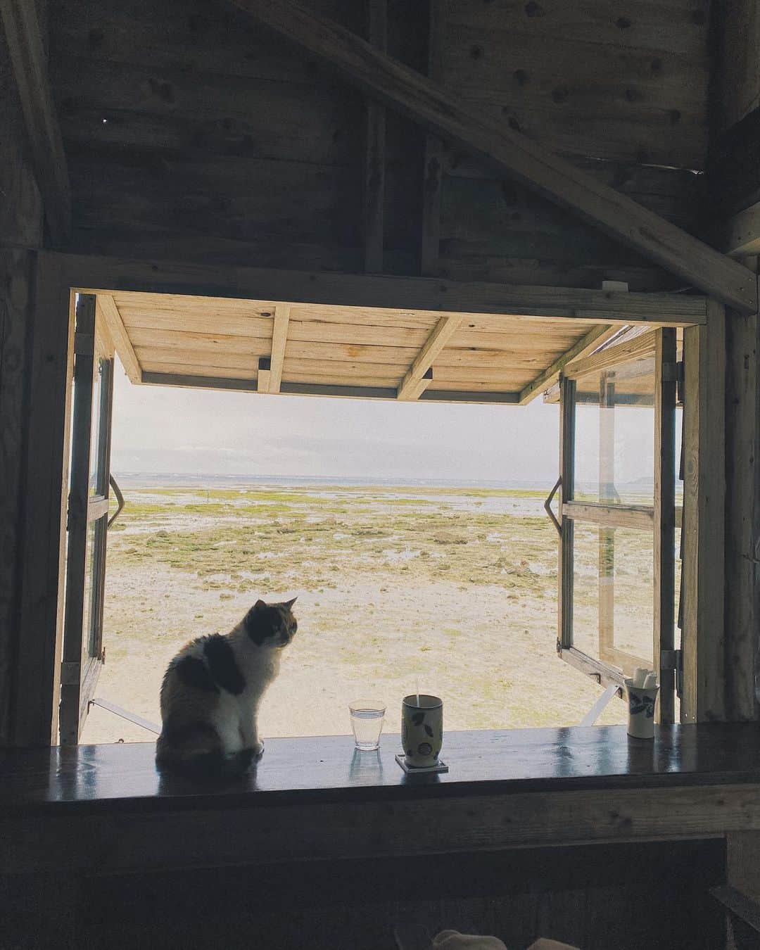 かーなーのグルメインスタ