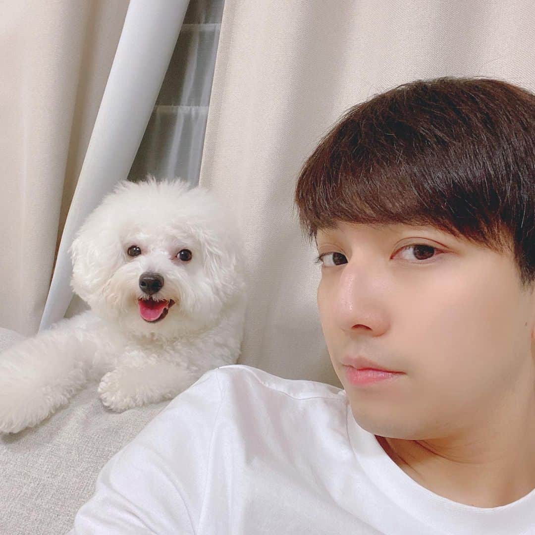 ジョージのインスタグラム：「ちょっとは仲良くなれてきているみたい？です。#豆柴#ビションフリーゼ」