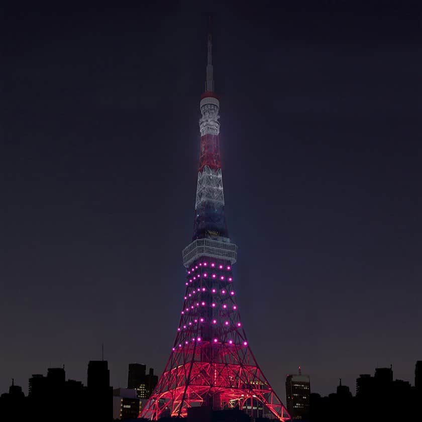 東京タワーさんのインスタグラム写真 - (東京タワーInstagram)「本日のライトアップは、﻿ 『満月ダイヤモンドヴェール』🌕﻿ 満月の明かりを引き立たせるためにタワー上部を消灯し、下部は今月の季節カラーの「紅梅色」に点灯します🗼﻿ ﻿ 今夜は広く晴れて綺麗に満月が見える予報です！ ﻿日没（17:34）〜20:00まで点灯しますので﻿是非ご覧下さい✨﻿ ﻿ #東京タワー#tokyotower#東京#tokyo#🗼﻿ #ライトアップ#lightup#満月#fullmoon﻿ ﻿ ﻿」2月27日 14時37分 - tokyotower_official