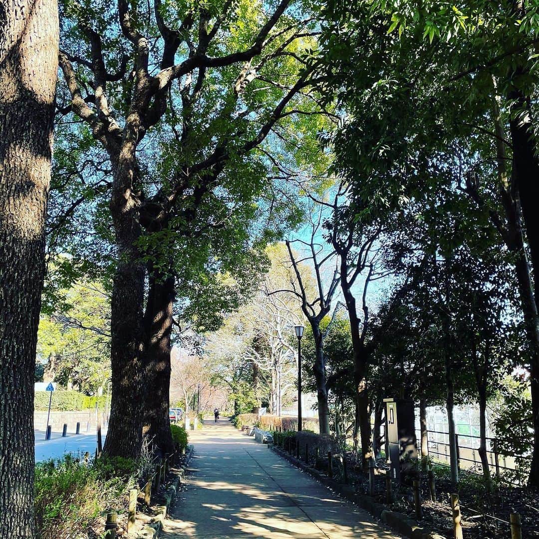 村田沙耶香さんのインスタグラム写真 - (村田沙耶香Instagram)「少し前、仕事の用事のあと、お天気が気持ちよくて遠まわりして歩いたときの写真です。」2月27日 15時30分 - sayaka_murata_