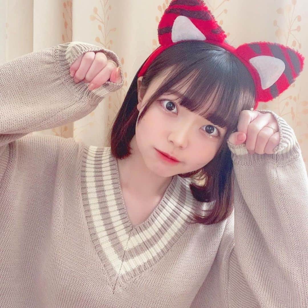 のインスタグラム：「🐱の生写真発売されました∩(^ΦωΦ^)∩ ・ ・ ・ ・ ・ ・ ・ #飼いませんか #ねこ」