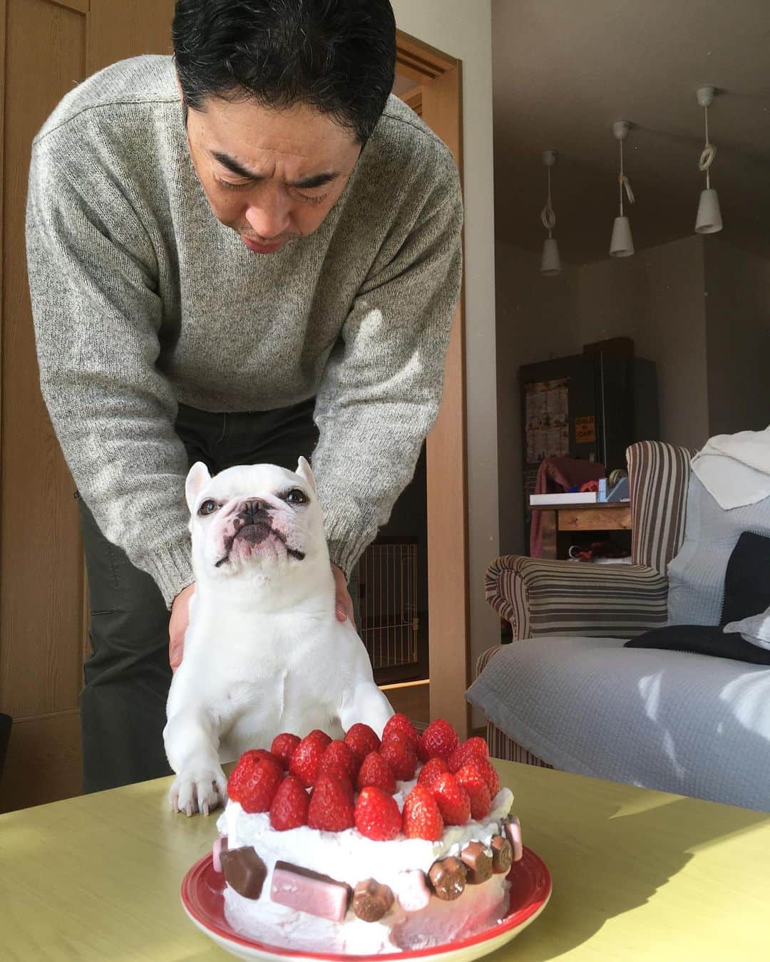 ちえぶぅたのインスタグラム：「なんでもない日のケーキ」