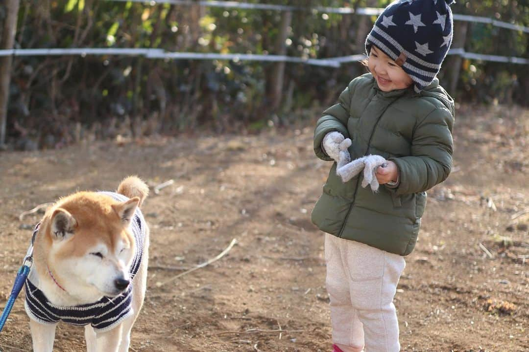 T&P Brothersさんのインスタグラム写真 - (T&P BrothersInstagram)「朝日が差し込む中みんなそれぞれの時間を楽しんで、なんとも平和な朝んぽでした☺️ 最近のトラはエマにリードを持ってもらった方がウキウキしています🐕💕  #shiba #pug #pugstagram #dog #柴 #柴犬 #パグ #tora #pom #トラ #ポム #柴パグ #시바 #퍼그 #泥料 #巴哥 #ママリ #コドモノ #コノビー #ママタス #生後34ヶ月 #2歳 #2歳10ヶ月」2月27日 22時03分 - tora_pom_happylife